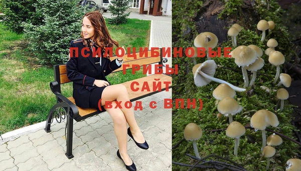 трава Балахна