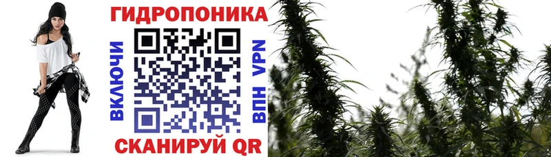 Бошки Шишки индика  наркошоп  Верхоянск 